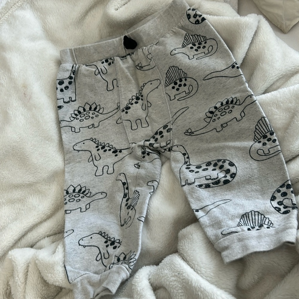Bundles Baby Place Dino Joggers Size 6-9 M